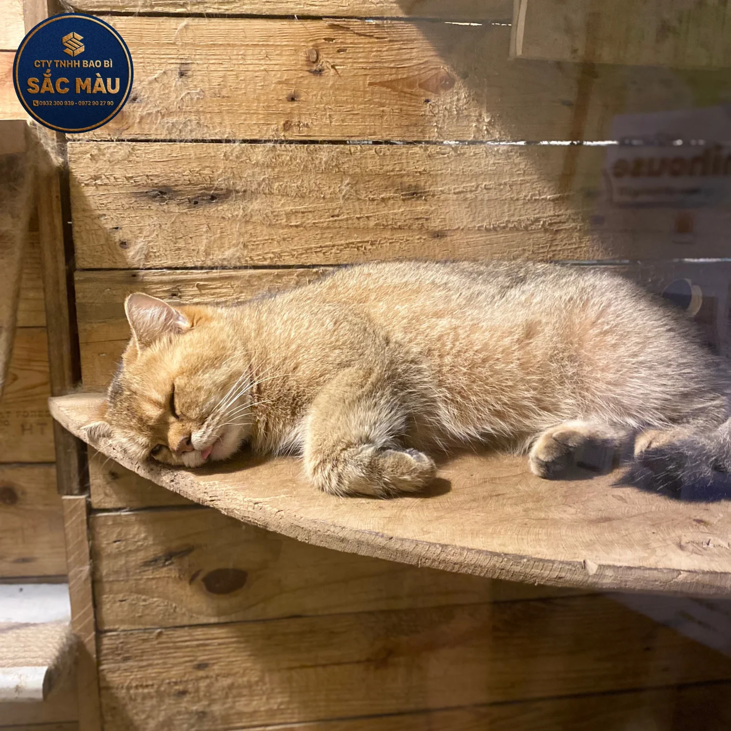 Top 10+ quán cafe chụp hình đẹp ở Cần Thơ hot nhất 2025