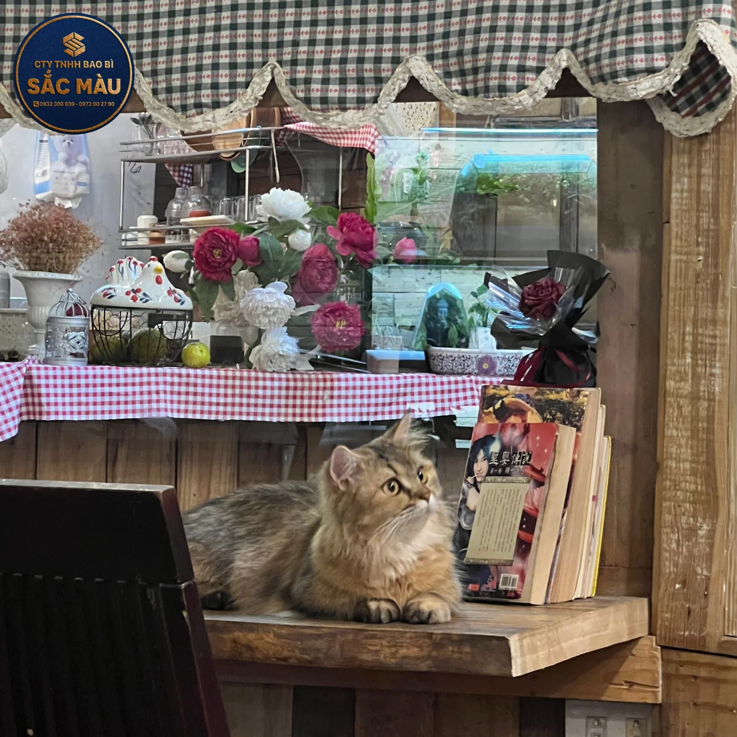 Top 10+ quán cafe chụp hình đẹp ở Cần Thơ hot nhất 2025