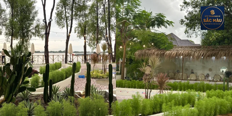 Top 10 cafe sân vườn Cần Thơ không gian rộng để check-in